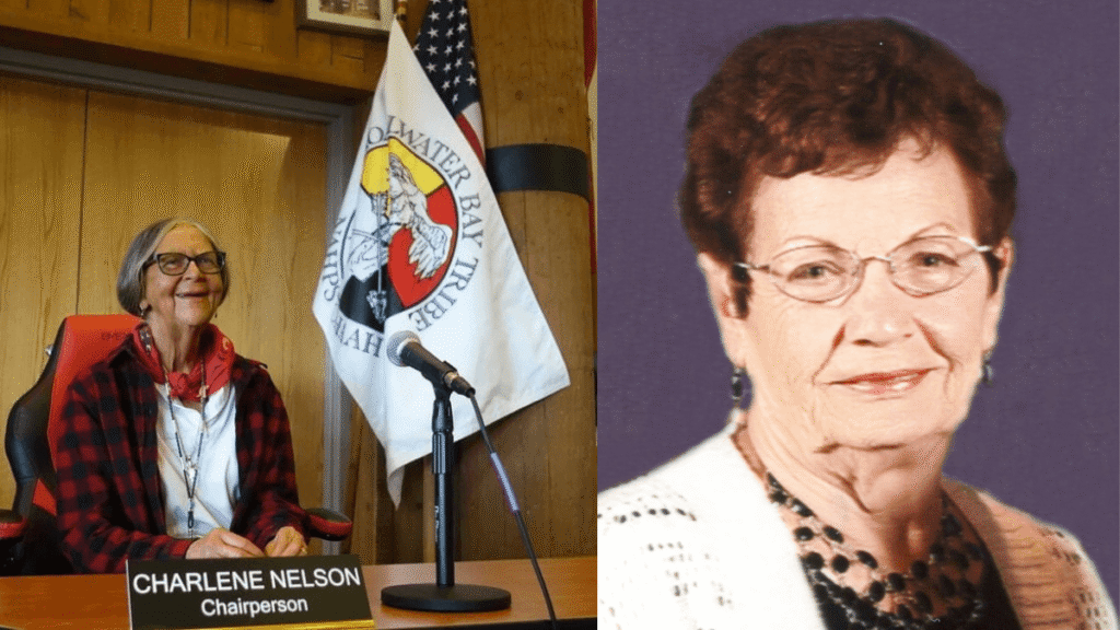 Charlene N Nelson Her Private Life, Marriage, Career, and Hollywood Connection Charlene N Nelson